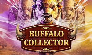 Buffalo Collector slot game superbet